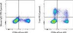 T-bet Antibody in Flow Cytometry (Flow)