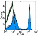 TER-119 Antibody in Flow Cytometry (Flow)