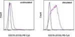 CD278 (ICOS) Antibody in Flow Cytometry (Flow)