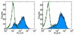 CD278 (ICOS) Antibody in Flow Cytometry (Flow)