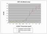 Human VCAM-1 Protein in Functional Assay (FN)