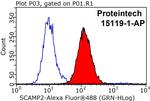 SCAMP2 Antibody in Flow Cytometry (Flow)