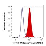 gamma Tubulin Antibody in Flow Cytometry (Flow)