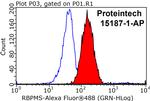 RBPMS Antibody in Flow Cytometry (Flow)