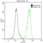 HSP60 Antibody in Flow Cytometry (Flow)