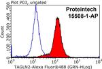 Transgelin-2 Antibody in Flow Cytometry (Flow)