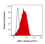 Islet 1 Antibody in Flow Cytometry (Flow)