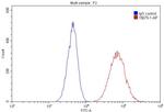 CD44 Antibody in Flow Cytometry (Flow)