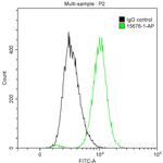 HEXIM1 Antibody in Flow Cytometry (Flow)