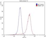 REEP2 Antibody in Flow Cytometry (Flow)