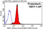 TBCC Antibody in Flow Cytometry (Flow)