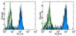 CD14 Antibody in Flow Cytometry (Flow)