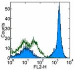 CD19 Antibody in Flow Cytometry (Flow)