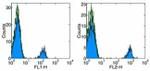 CD19 Antibody in Flow Cytometry (Flow)