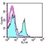 CD27 Antibody in Flow Cytometry (Flow)