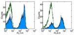 CD45R (B220) Antibody in Flow Cytometry (Flow)