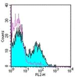 CD154 (CD40 Ligand) Antibody in Flow Cytometry (Flow)