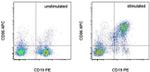 Mouse IgM (Mu chain) Secondary Antibody in Flow Cytometry (Flow)