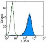 CD366 (TIM3) Antibody in Flow Cytometry (Flow)