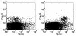 CD314 (NKG2D) Antibody in Flow Cytometry (Flow)