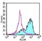 CD273 (B7-DC) Antibody in Flow Cytometry (Flow)