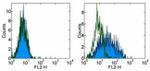 CD276 (B7-H3) Antibody in Flow Cytometry (Flow)