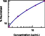 IL-12 p35 Antibody in Functional Assay (FN)