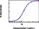 GM-CSF Antibody in Functional Assay (FN)