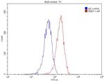 ARG1 Antibody in Flow Cytometry (Flow)