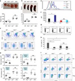 CD28 Antibody in T-Cell Activation (TCA)