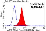 Amphiregulin Antibody in Flow Cytometry (Flow)