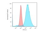 CD55/Decay Accelerating Factor (DAF) Antibody in Flow Cytometry (Flow)