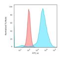 CD55/Decay Accelerating Factor (DAF) Antibody in Flow Cytometry (Flow)