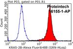 KRAS-2B Antibody in Flow Cytometry (Flow)