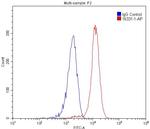 OCTN2 Antibody in Flow Cytometry (Flow)