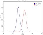 GSNOR/ADH5 Antibody in Flow Cytometry (Flow)