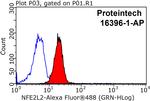 NRF2/NFE2L2 Antibody in Flow Cytometry (Flow)