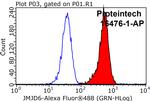 JMJD6 Antibody in Flow Cytometry (Flow)