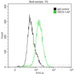 Cytokeratin 4 Antibody in Flow Cytometry (Flow)