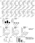 CD273 (B7-DC) Antibody in Flow Cytometry (Flow)