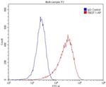 AHNAK Antibody in Flow Cytometry (Flow)