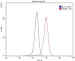 CD163 Antibody in Flow Cytometry (Flow)