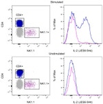 IL-2 Antibody