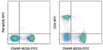 CD4 Antibody in Flow Cytometry (Flow)