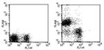 CD19 Antibody in Flow Cytometry (Flow)