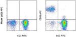 CD20 Antibody in Flow Cytometry (Flow)