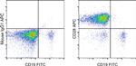 CD28 Antibody in Flow Cytometry (Flow)