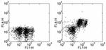 CD31 (PECAM-1) Antibody in Flow Cytometry (Flow)