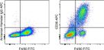 CD36 Antibody in Flow Cytometry (Flow)