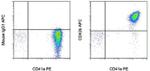 CD42b Antibody in Flow Cytometry (Flow)